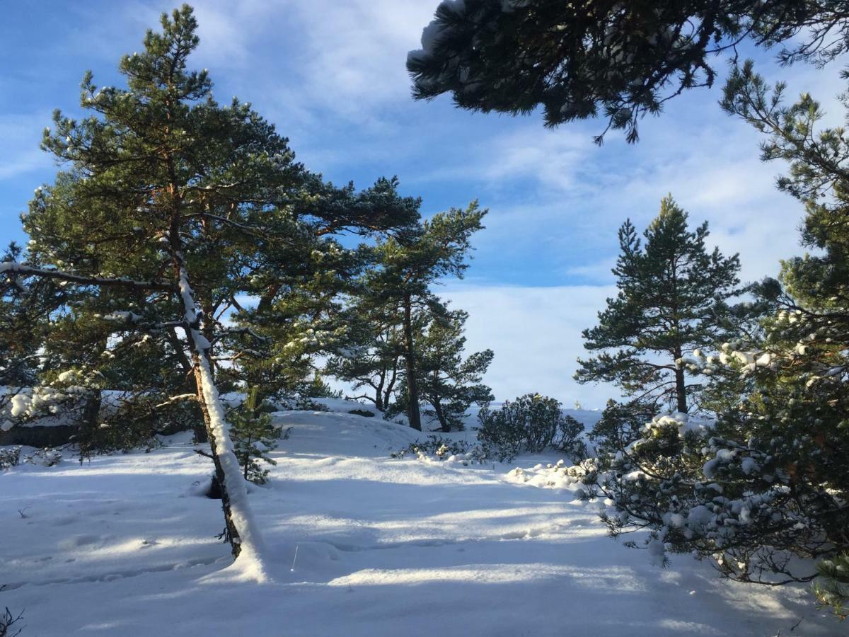 Villa Högbo Inio Exteriör bild